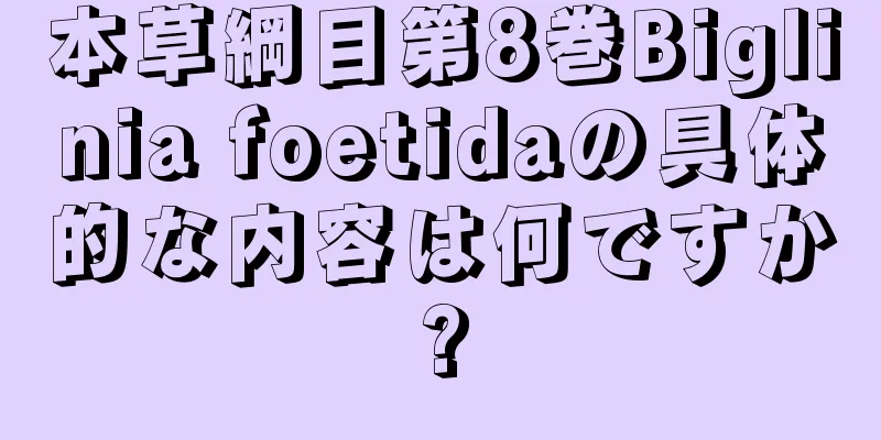 本草綱目第8巻Biglinia foetidaの具体的な内容は何ですか?