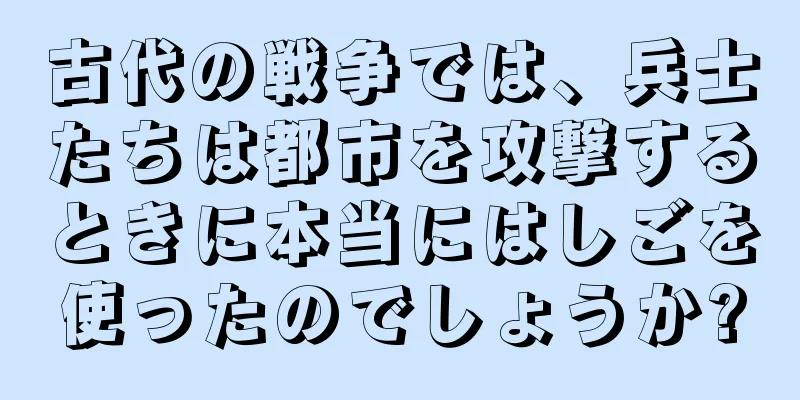 古代の戦争では、兵士たちは都市を攻撃するときに本当にはしごを使ったのでしょうか?