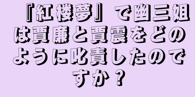 『紅楼夢』で幽三姐は賈廉と賈震をどのように叱責したのですか？