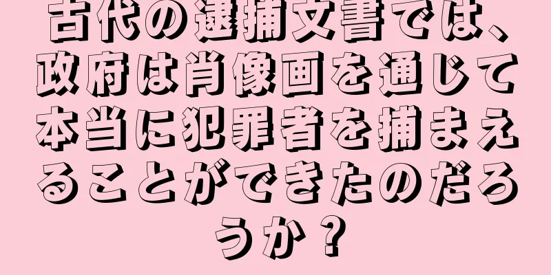 古代の逮捕文書では、政府は肖像画を通じて本当に犯罪者を捕まえることができたのだろうか？