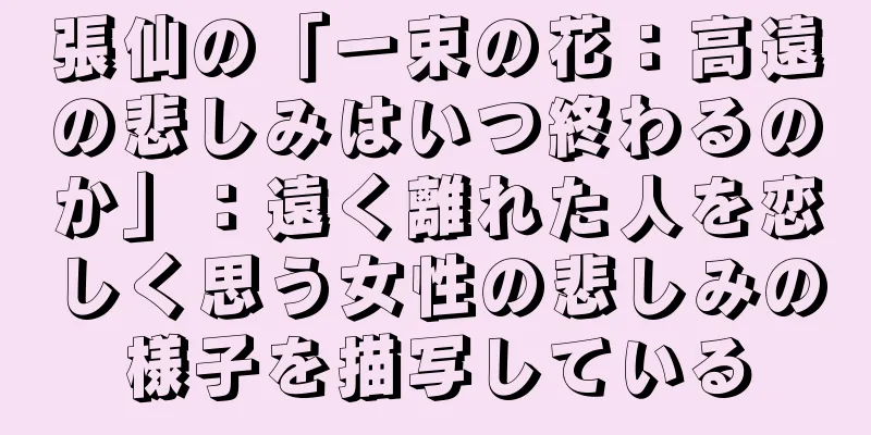 張仙の「一束の花：高遠の悲しみはいつ終わるのか」：遠く離れた人を恋しく思う女性の悲しみの様子を描写している