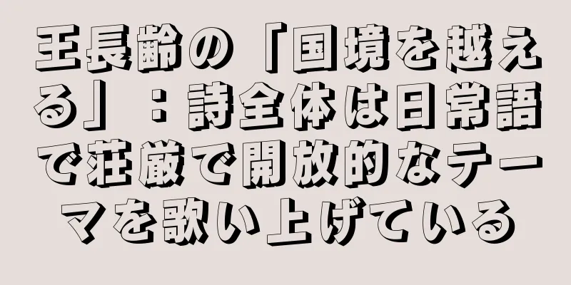 王長齢の「国境を越える」：詩全体は日常語で荘厳で開放的なテーマを歌い上げている