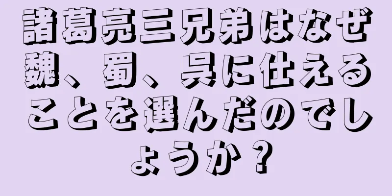 諸葛亮三兄弟はなぜ魏、蜀、呉に仕えることを選んだのでしょうか？