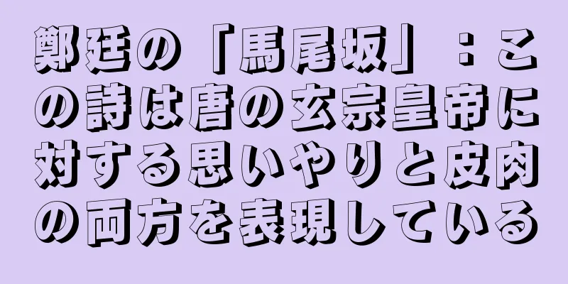 鄭廷の「馬尾坂」：この詩は唐の玄宗皇帝に対する思いやりと皮肉の両方を表現している