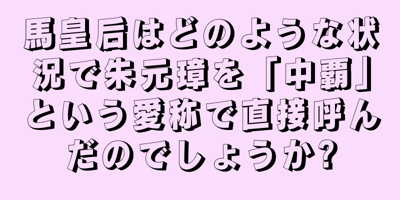 馬皇后はどのような状況で朱元璋を「中覇」という愛称で直接呼んだのでしょうか?