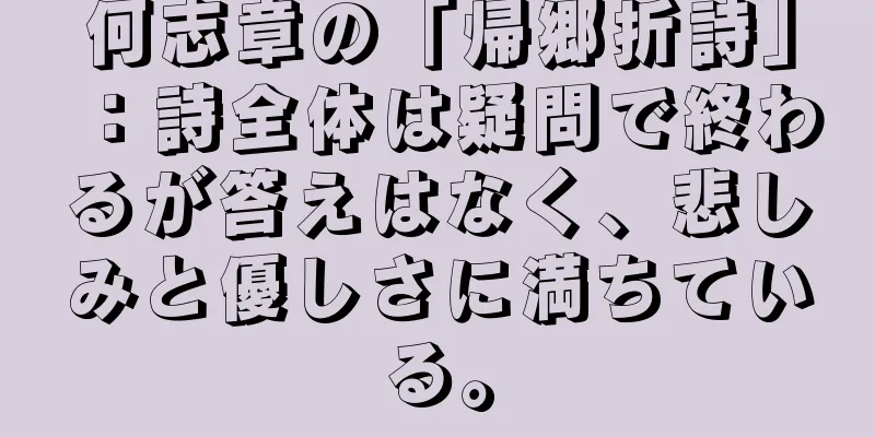何志章の「帰郷折詩」：詩全体は疑問で終わるが答えはなく、悲しみと優しさに満ちている。