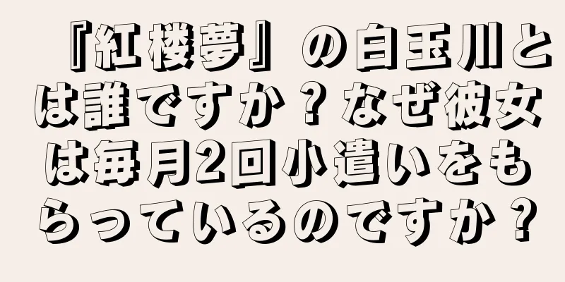 『紅楼夢』の白玉川とは誰ですか？なぜ彼女は毎月2回小遣いをもらっているのですか？