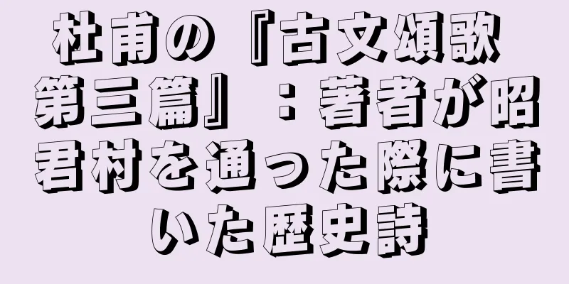 杜甫の『古文頌歌 第三篇』：著者が昭君村を通った際に書いた歴史詩