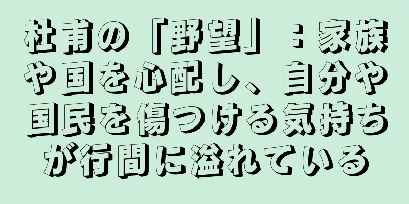 杜甫の「野望」：家族や国を心配し、自分や国民を傷つける気持ちが行間に溢れている