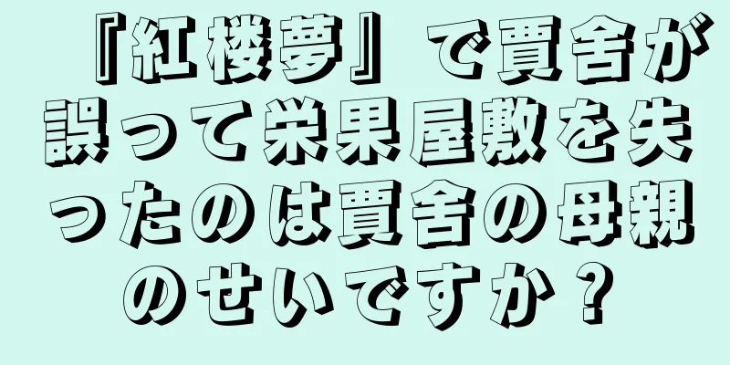 『紅楼夢』で賈舍が誤って栄果屋敷を失ったのは賈舍の母親のせいですか？