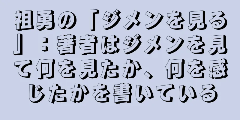 祖勇の「ジメンを見る」：著者はジメンを見て何を見たか、何を感じたかを書いている