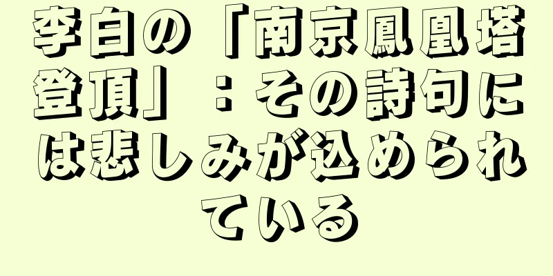 李白の「南京鳳凰塔登頂」：その詩句には悲しみが込められている