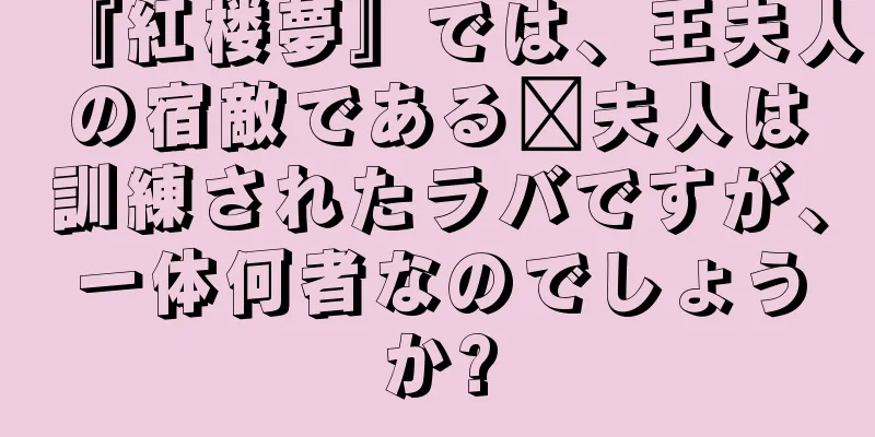 『紅楼夢』では、王夫人の宿敵である邢夫人は訓練されたラバですが、一体何者なのでしょうか?