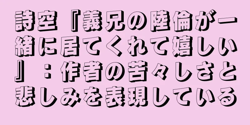 詩空『義兄の陸倫が一緒に居てくれて嬉しい』：作者の苦々しさと悲しみを表現している