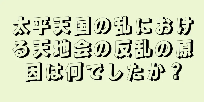 太平天国の乱における天地会の反乱の原因は何でしたか？