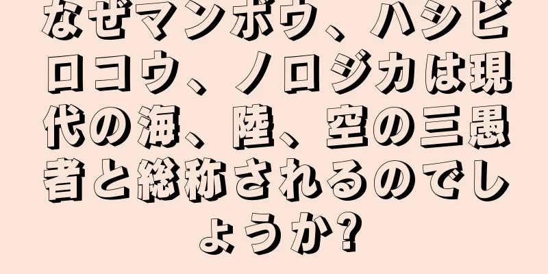 なぜマンボウ、ハシビロコウ、ノロジカは現代の海、陸、空の三愚者と総称されるのでしょうか?