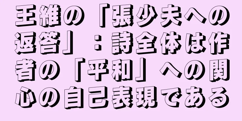王維の「張少夫への返答」：詩全体は作者の「平和」への関心の自己表現である