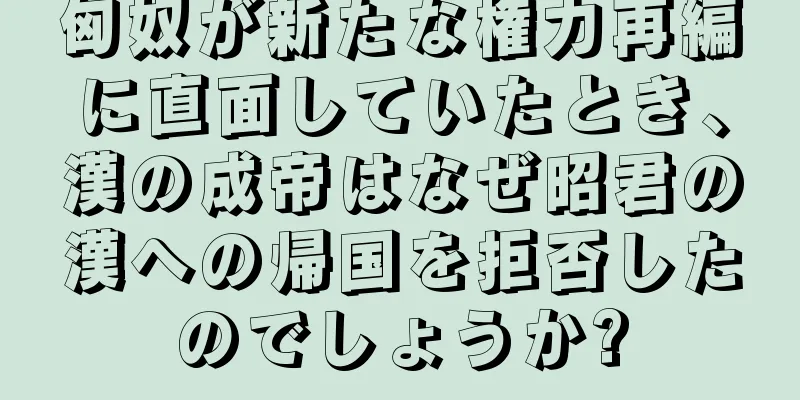 匈奴が新たな権力再編に直面していたとき、漢の成帝はなぜ昭君の漢への帰国を拒否したのでしょうか?