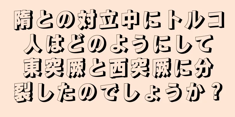 隋との対立中にトルコ人はどのようにして東突厥と西突厥に分裂したのでしょうか？
