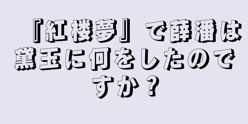 『紅楼夢』で薛潘は黛玉に何をしたのですか？