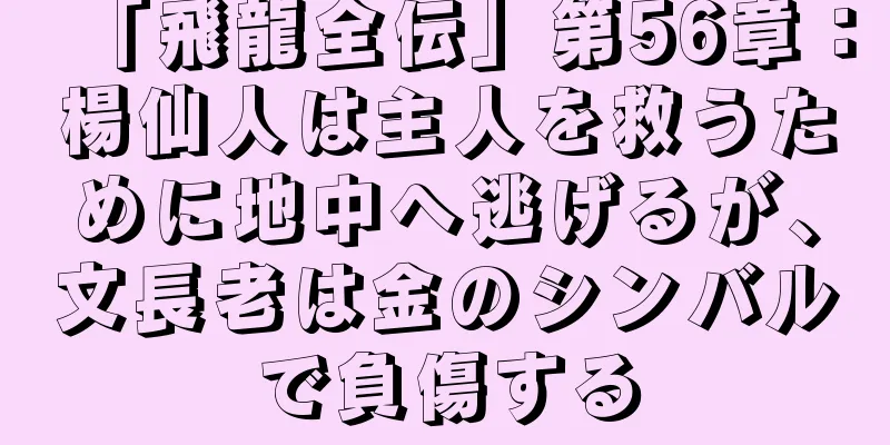 「飛龍全伝」第56章：楊仙人は主人を救うために地中へ逃げるが、文長老は金のシンバルで負傷する