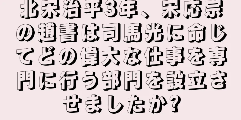 北宋治平3年、宋応宗の趙書は司馬光に命じてどの偉大な仕事を専門に行う部門を設立させましたか?
