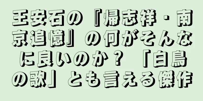 王安石の『帰志祥・南京追憶』の何がそんなに良いのか？ 「白鳥の歌」とも言える傑作