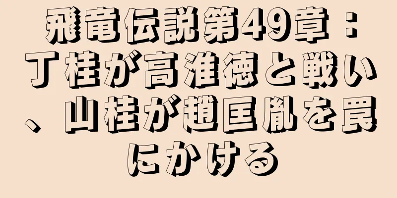 飛竜伝説第49章：丁桂が高淮徳と戦い、山桂が趙匡胤を罠にかける