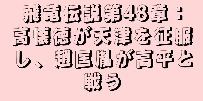 飛竜伝説第48章：高懐徳が天津を征服し、趙匡胤が高平と戦う