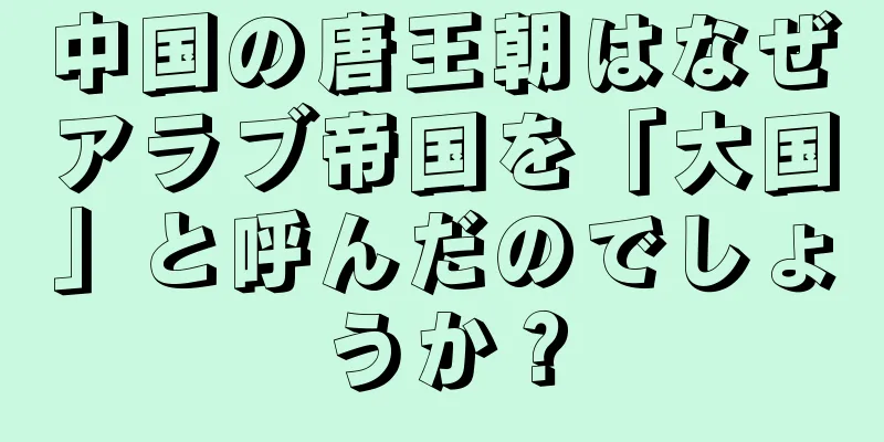 中国の唐王朝はなぜアラブ帝国を「大国」と呼んだのでしょうか？