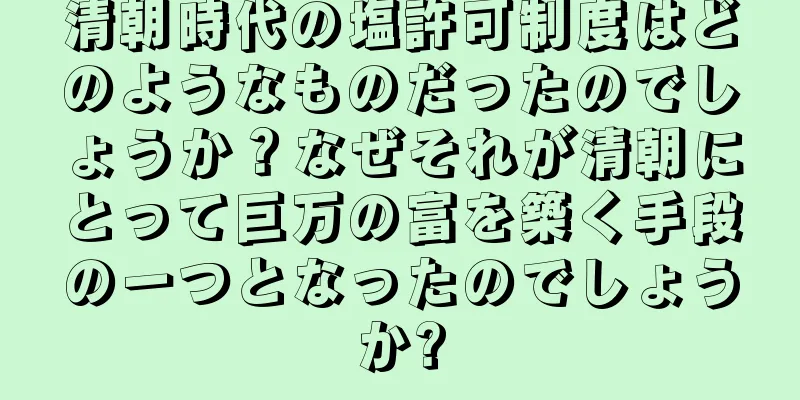 清朝時代の塩許可制度はどのようなものだったのでしょうか？なぜそれが清朝にとって巨万の富を築く手段の一つとなったのでしょうか?