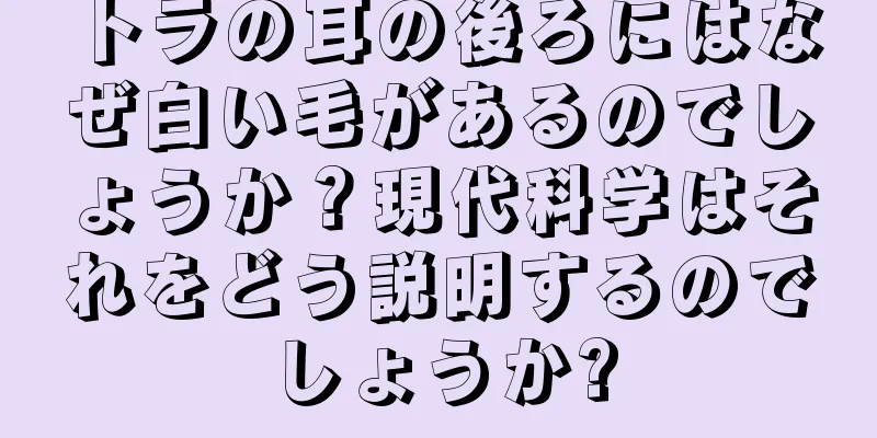 トラの耳の後ろにはなぜ白い毛があるのでしょうか？現代科学はそれをどう説明するのでしょうか?