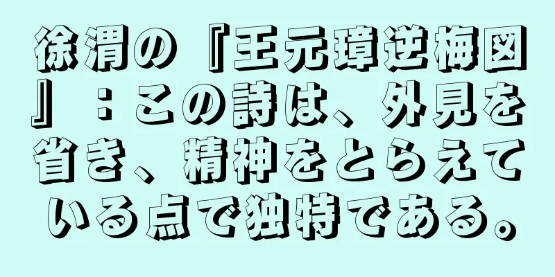 徐渭の『王元璋逆梅図』：この詩は、外見を省き、精神をとらえている点で独特である。