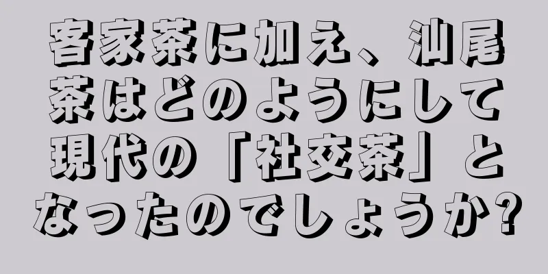 客家茶に加え、汕尾茶はどのようにして現代の「社交茶」となったのでしょうか?