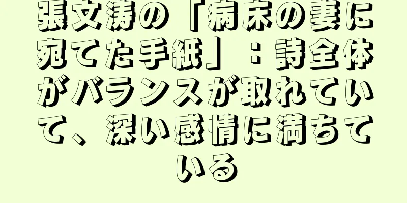 張文涛の「病床の妻に宛てた手紙」：詩全体がバランスが取れていて、深い感情に満ちている