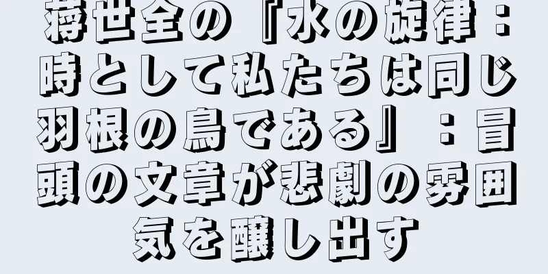 蒋世全の『水の旋律：時として私たちは同じ羽根の鳥である』：冒頭の文章が悲劇の雰囲気を醸し出す