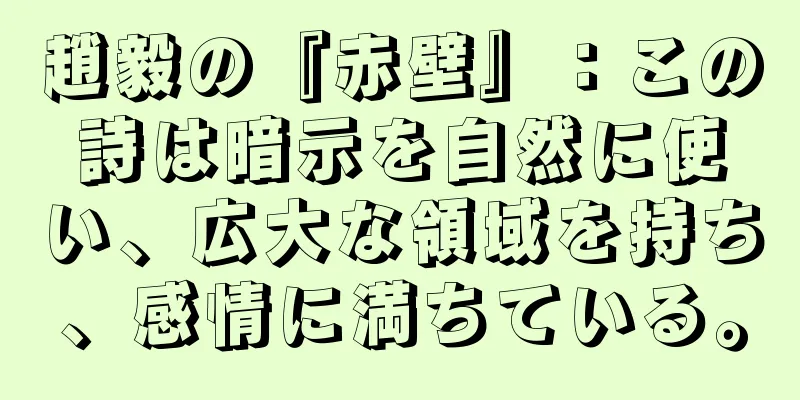 趙毅の『赤壁』：この詩は暗示を自然に使い、広大な領域を持ち、感情に満ちている。