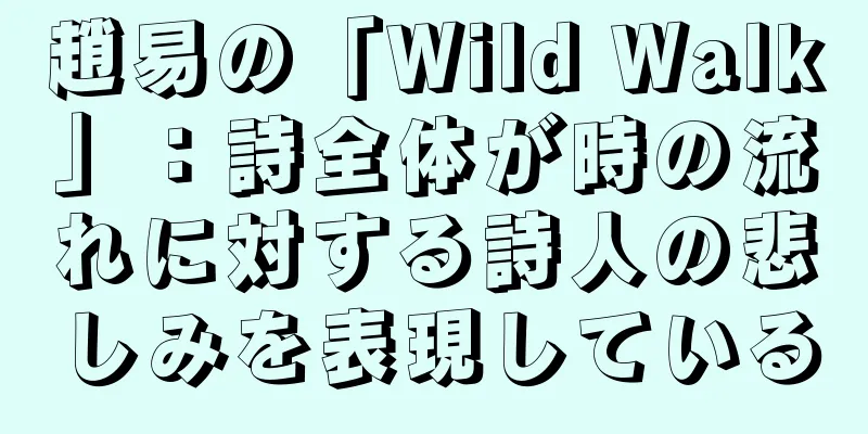 趙易の「Wild Walk」：詩全体が時の流れに対する詩人の悲しみを表現している