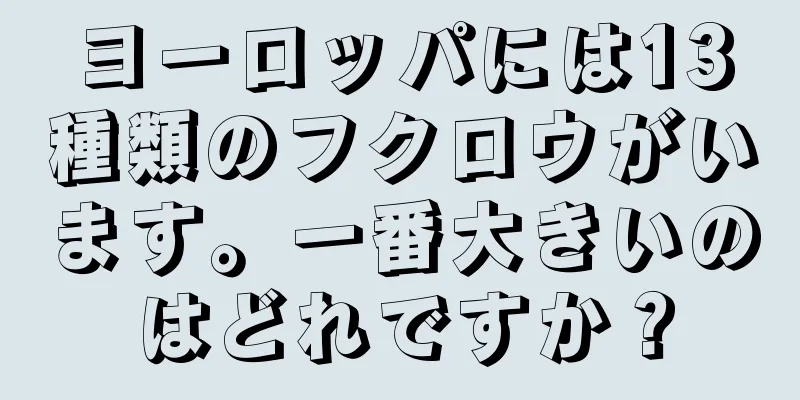 ヨーロッパには13種類のフクロウがいます。一番大きいのはどれですか？