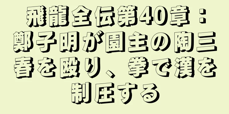 飛龍全伝第40章：鄭子明が園主の陶三春を殴り、拳で漢を制圧する
