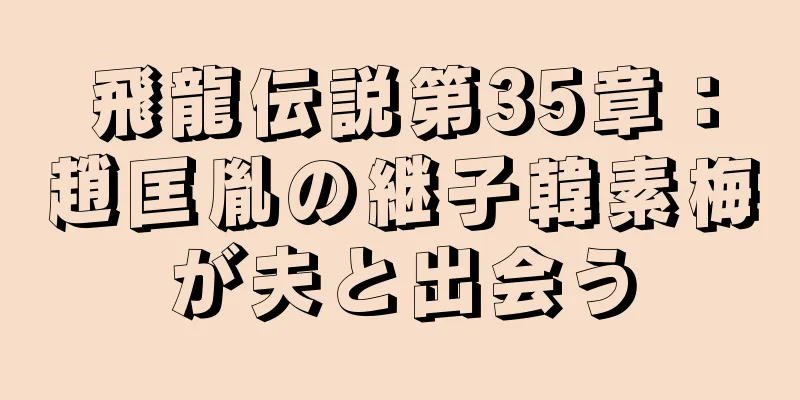 飛龍伝説第35章：趙匡胤の継子韓素梅が夫と出会う