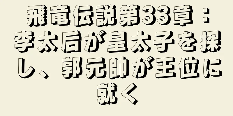 飛竜伝説第33章：李太后が皇太子を探し、郭元帥が王位に就く