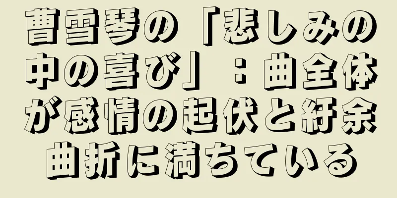 曹雪琴の「悲しみの中の喜び」：曲全体が感情の起伏と紆余曲折に満ちている