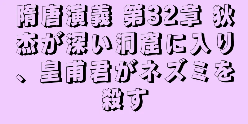 隋唐演義 第32章 狄杰が深い洞窟に入り、皇甫君がネズミを殺す