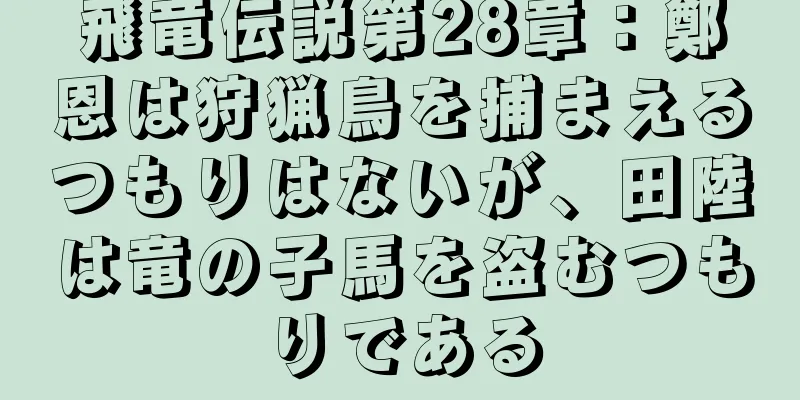 飛竜伝説第28章：鄭恩は狩猟鳥を捕まえるつもりはないが、田陸は竜の子馬を盗むつもりである