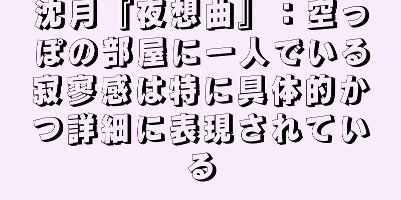 沈月『夜想曲』：空っぽの部屋に一人でいる寂寥感は特に具体的かつ詳細に表現されている