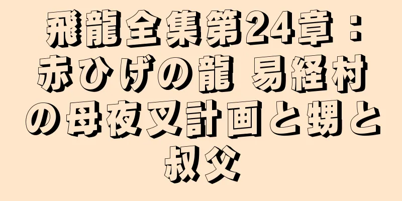 飛龍全集第24章：赤ひげの龍 易経村の母夜叉計画と甥と叔父