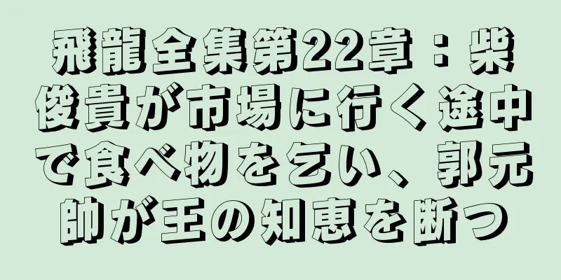 飛龍全集第22章：柴俊貴が市場に行く途中で食べ物を乞い、郭元帥が王の知恵を断つ