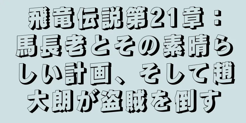 飛竜伝説第21章：馬長老とその素晴らしい計画、そして趙大朗が盗賊を倒す