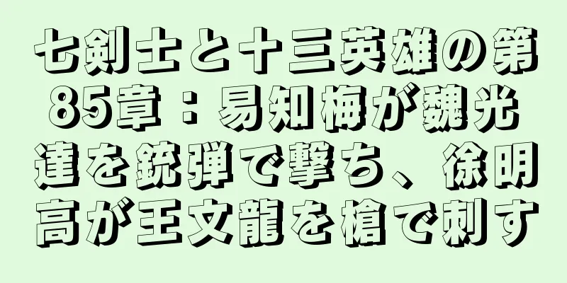 七剣士と十三英雄の第85章：易知梅が魏光達を銃弾で撃ち、徐明高が王文龍を槍で刺す